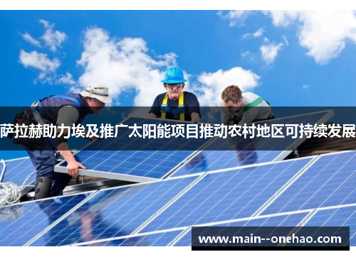 萨拉赫助力埃及推广太阳能项目推动农村地区可持续发展