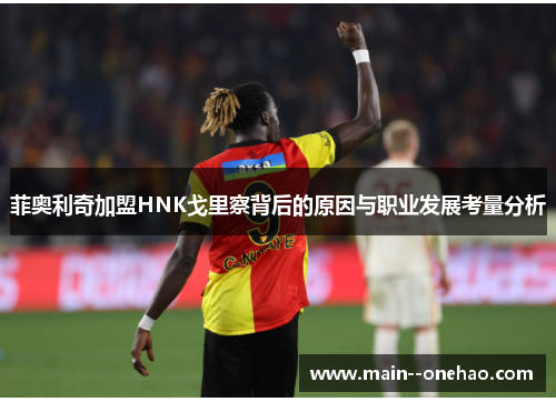 菲奥利奇加盟HNK戈里察背后的原因与职业发展考量分析 菲奥利奇加盟HNK戈里察背后的原因与职业发展考量分析